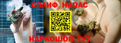спайс Гагарин