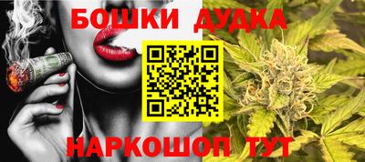 прущие крисы Гай
