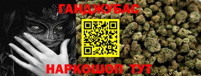 прущие крисы Гай