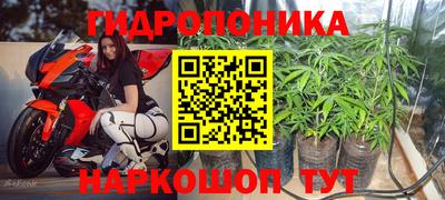 спайс Гагарин