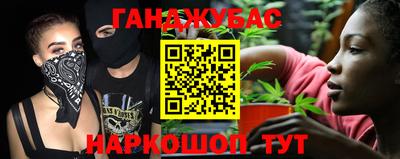 прущие крисы Гай