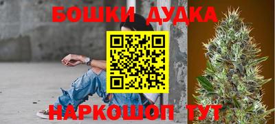прущие крисы Гай
