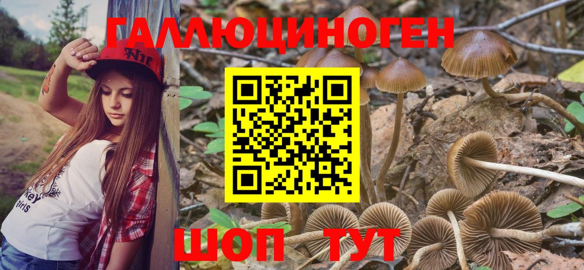Наро-Фоминск  Псилоцибиновые грибы Magic Shrooms  Вход с VPN 